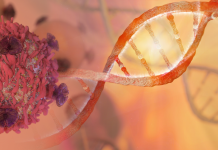 Tumore dell’ovaio e mutazioni del gene BRCA 1 e 2